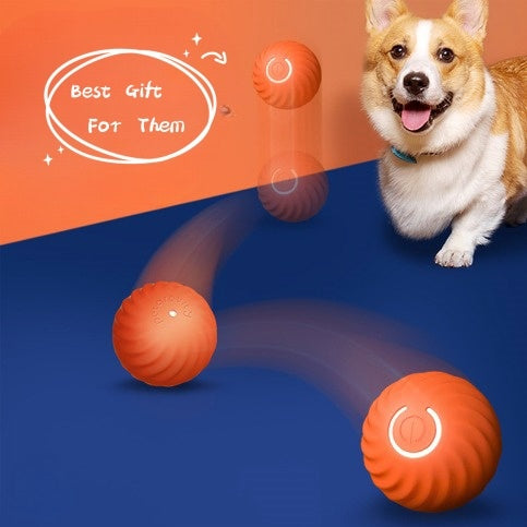 Durable Rubber Chew Ball for Dogs